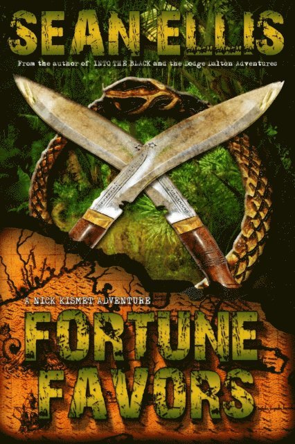 Sean Ellis - Fortune Favors, E-bok