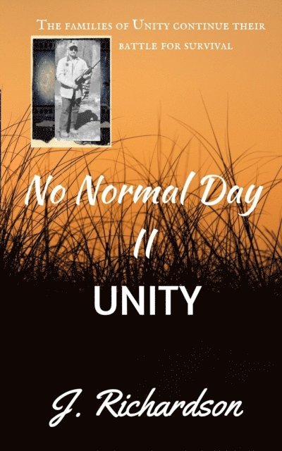 J. Richardson - No Normal Day II, Unity, E-bok