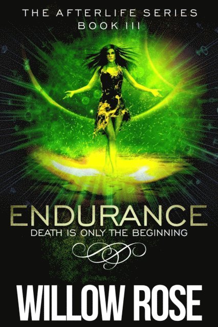 Willow Rose - Endurance, E-bok