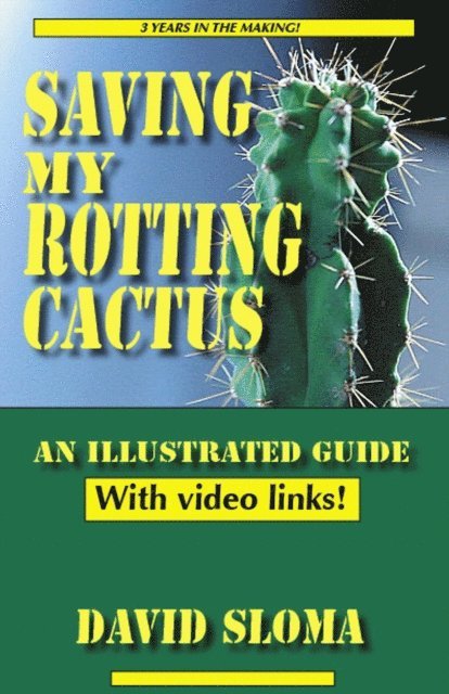 Saving My Rotting Cactus - An Illustrated Guide With Video Links