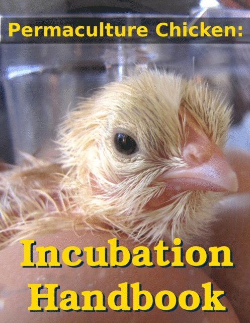 Anna Hess - Incubating and Hatching Homegrown Chicks, E-bok