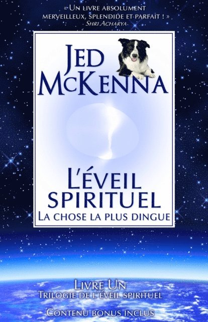 Jed McKenna - L'éveil spirituel : La chose la plus dingue, E-bok