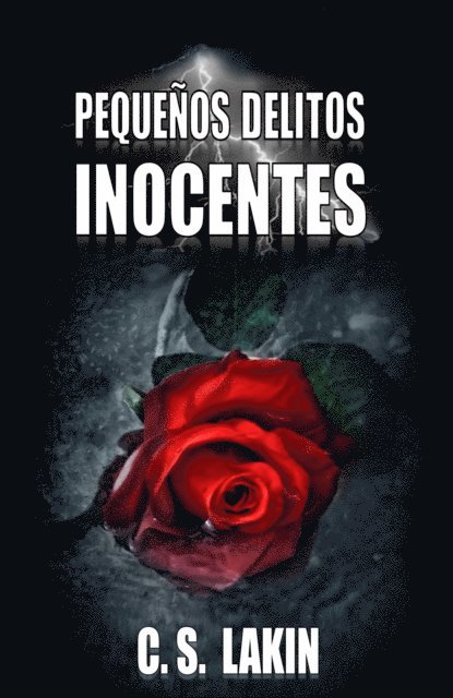 C. S. Lakin - Pequeños Delitos Inocentes, E-bok