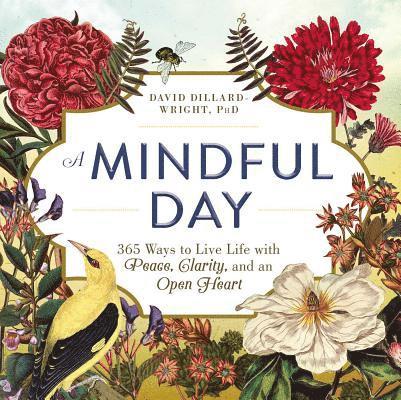 David Dillard-Wright - Mindful Day, Häftad