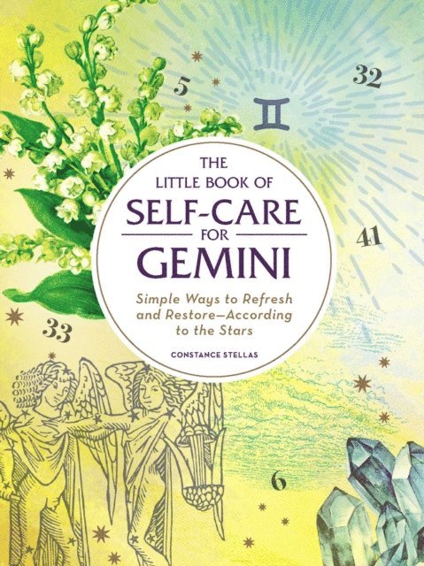 Constance Stellas - Little Book of Self-Care for Gemini, E-bok