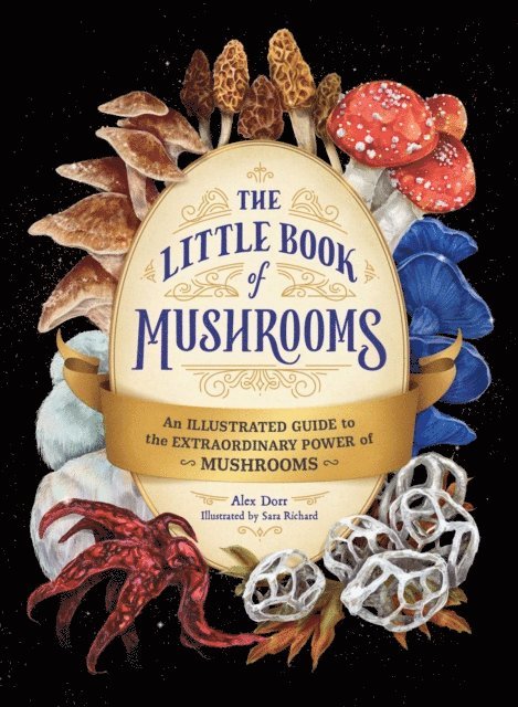 Alex Dorr - Little Book of Mushrooms, E-bok
