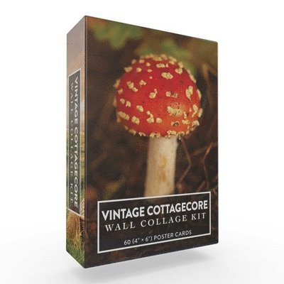 Adams Media - Vintage Cottagecore Wall Collage Kit, Övrigt
