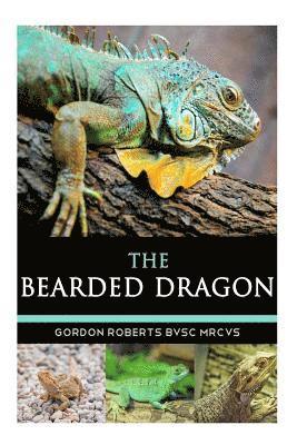 Gordon Roberts Bvsc Mrcvs - The Bearded Dragon, Häftad. Tillgänglighet: Lägg i varukorg