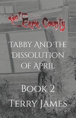 Terry James - Tabby And The Dissolution of April, Häftad