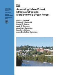 Nowak - Assessing Urban Forest Effects and Values: Morgantown's Urban Forests, Häftad. Tillgänglighet: Lägg i varukorg