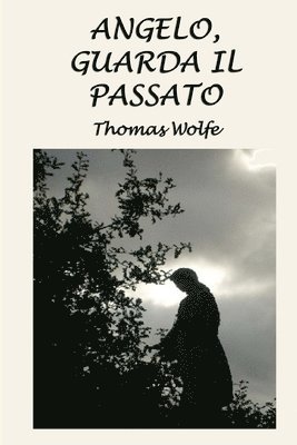 Silvia Cecchini, Thomas Wolfe - Angelo, guarda il passato, Häftad