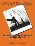 Salvation Hoodlums: WSIN News