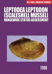 Jennifer Szymanski - Leptodea leptodon (Scaleshell Mussel) Rangewide Status Assessment, Häftad. Tillgänglighet: Lägg i varukorg