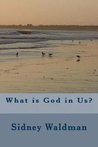 Sidney Waldman - What is God in Us?, Häftad