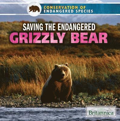 Justine Ciovacco - Saving the Endangered Grizzly Bear, Häftad