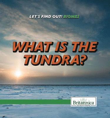 Julia J. Quinlan - What Is the Tundra?, Häftad