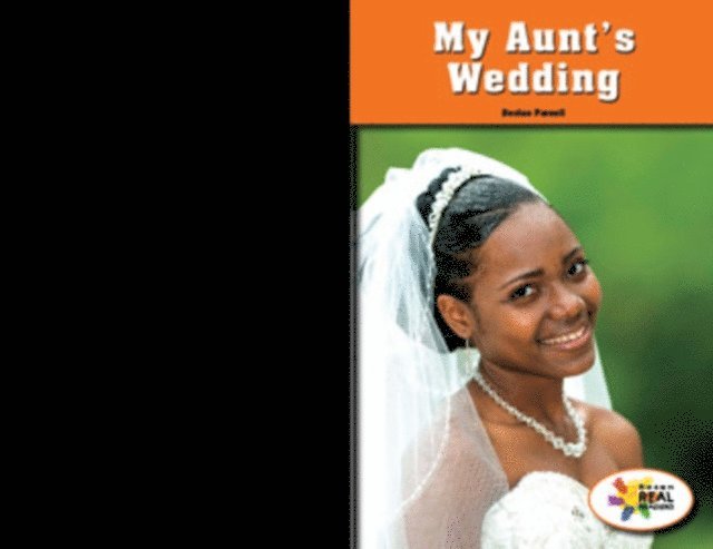 Declan Parnell - My Aunt's Wedding, E-bok