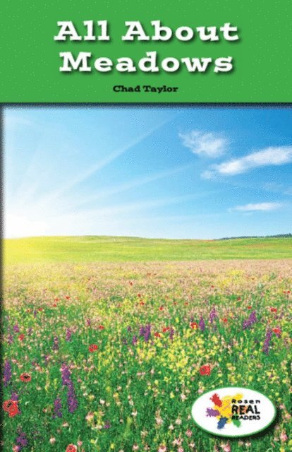 Chad Taylor - All About Meadows, E-bok