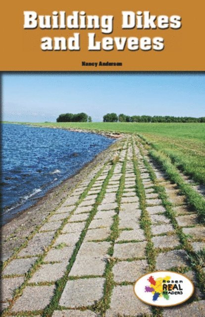 Nancy Anderson - Building Dikes and Levees, E-bok