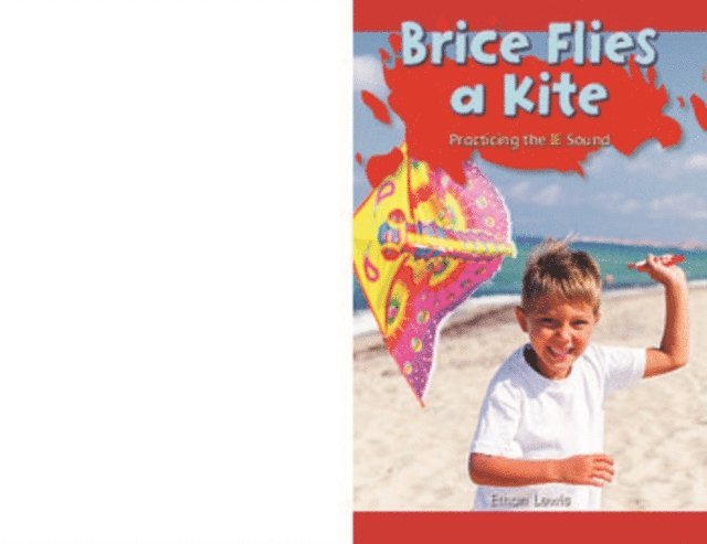 Ethan Lewis - Brice Flies a Kite, E-bok