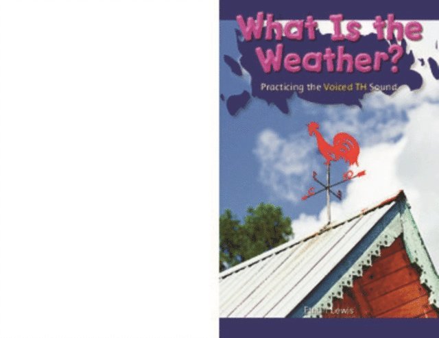 Ethan Lewis - What Is the Weather?, E-bok