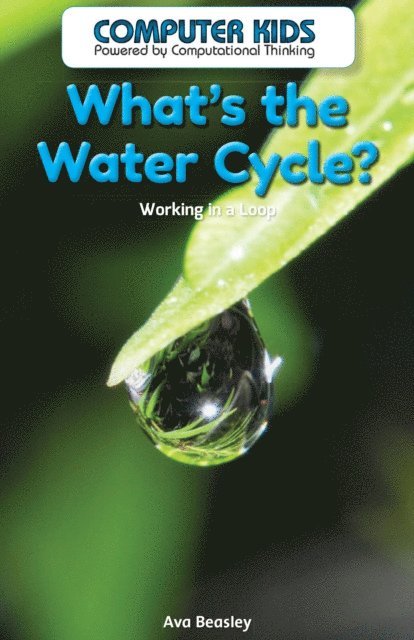 Ava Beasley - What's the Water Cycle?, E-bok