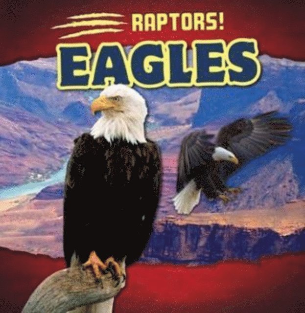 Rosemary Jennings - Eagles, E-bok