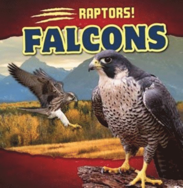 Emily Wilson - Falcons, E-bok