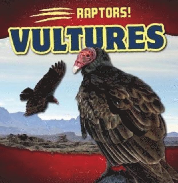 Liz Chung - Vultures, E-bok
