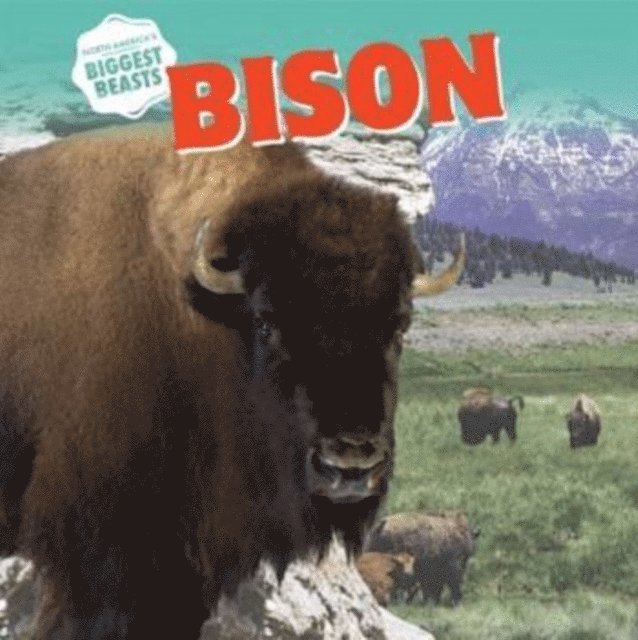 David Anthony - Bison, E-bok