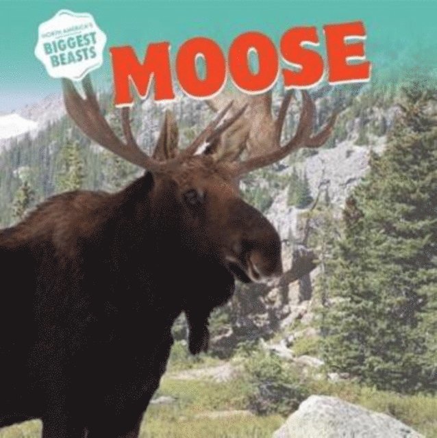 Amy B. Rogers - Moose, E-bok