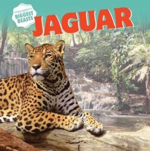 Elizabeth Morgan - Jaguar, E-bok