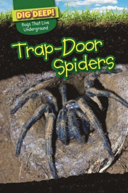 Emily Wilson - Trap-Door Spiders, E-bok
