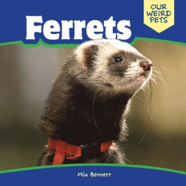 Mia Bennett - Ferrets, E-bok