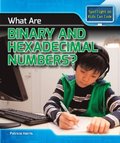 What Are Binary and Hexadecimal Numbers?