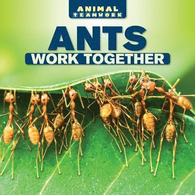 Nora Ellison - Ants Work Together, Inbunden