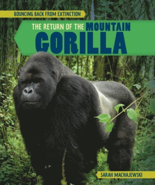 Return of the Mountain Gorilla