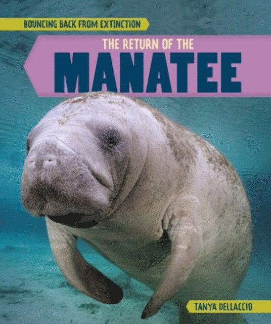 Return of the Manatee