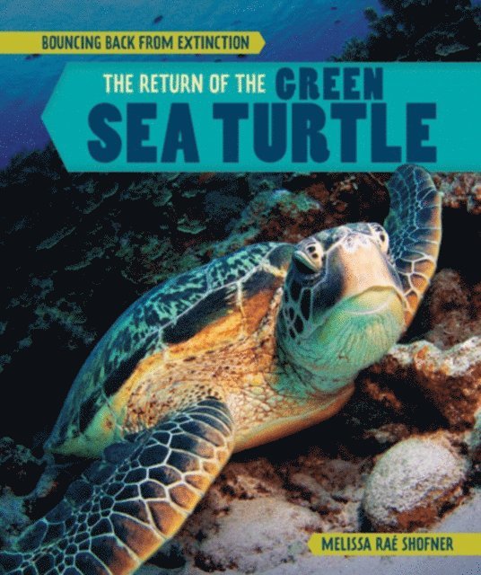 Melissa Rae Shofner - Return of the Green Sea Turtle, E-bok
