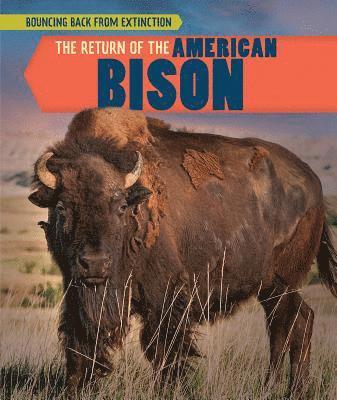 Theresa Morlock - The Return of the American Bison, Häftad