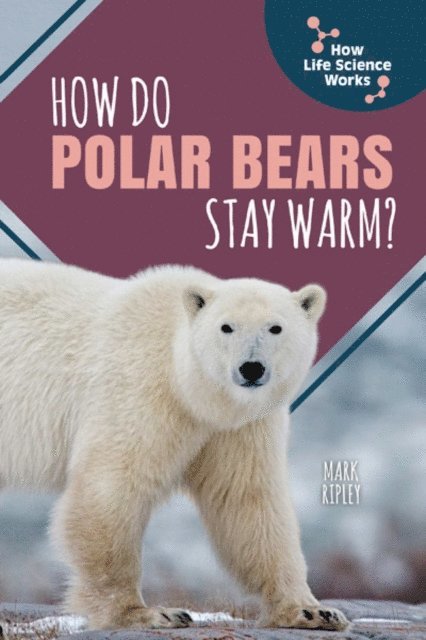 Mark Ripley - How Do Polar Bears Stay Warm?, E-bok. Tillgänglighet: Lägg i varukorg