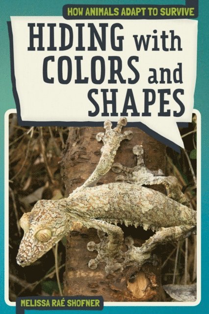 Melissa Rae Shofner - Hiding with Colors and Shapes, E-bok