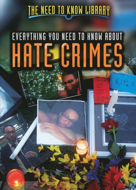Danica Davidson - Everything You Need to Know About Hate Crimes, E-bok
