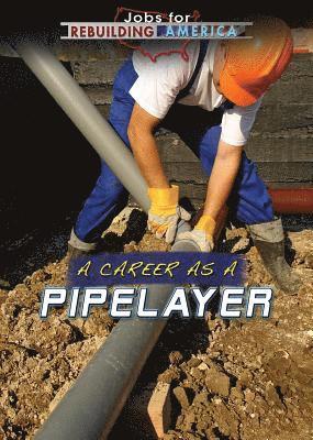 Amie Jane Leavitt - A Career as a Pipelayer, Häftad