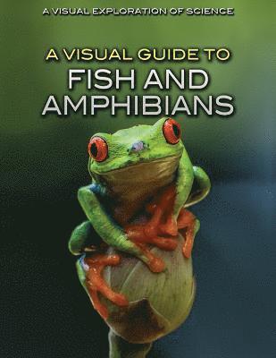 Editorial Staff - A Visual Guide to Fish and Amphibians, Häftad