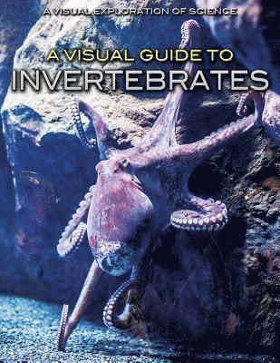 Editorial Staff - A Visual Guide to Invertebrates, Inbunden