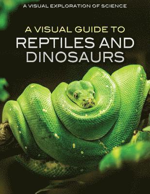 Editorial Staff - A Visual Guide to Reptiles and Dinosaurs, Inbunden