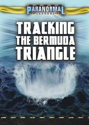 Jenna Vale, Aaron Rosenberg - Tracking the Bermuda Triangle, Häftad. Tillgänglighet: Tillfälligt slut