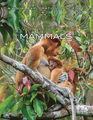 Editorial Staff - A Visual Guide to Mammals, Inbunden. Tillgänglighet: Tillfälligt slut