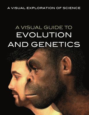 Editorial Staff - A Visual Guide to Evolution and Genetics, Häftad